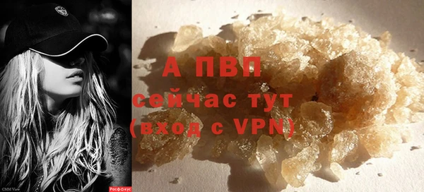 СК Белокуриха