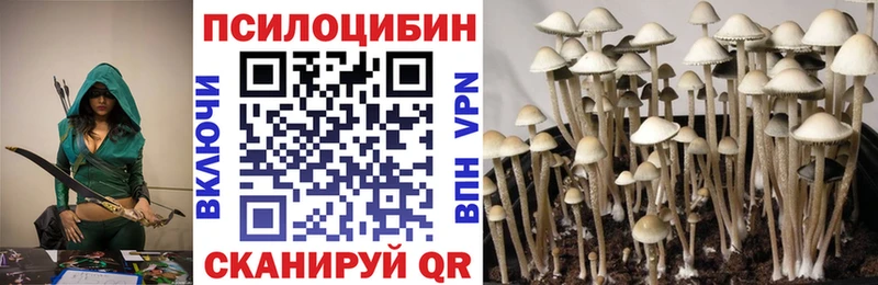 Псилоцибиновые грибы Cubensis  где купить   Саяногорск 
